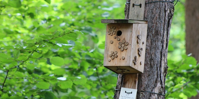 Nichoir En Bois Brûlé Avec Support - Mangeoire à Oiseaux Pour Balcon, Jardin, Terrasse (en Pin)